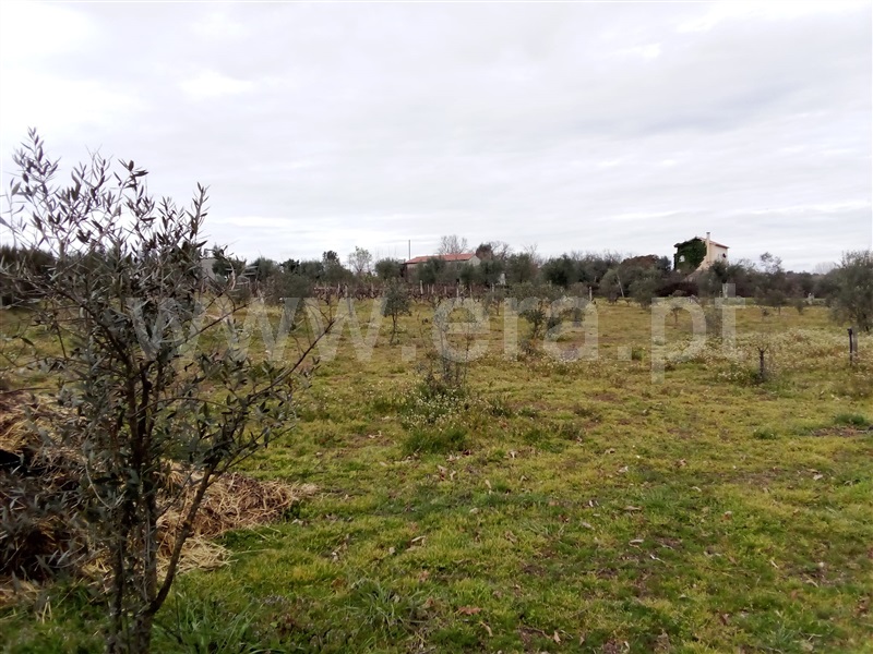 Quinta  Mangualde, Espinho - 1312059 - 3