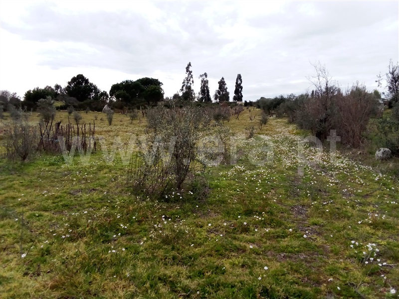 Quinta  Mangualde, Espinho - 1312059 - 4
