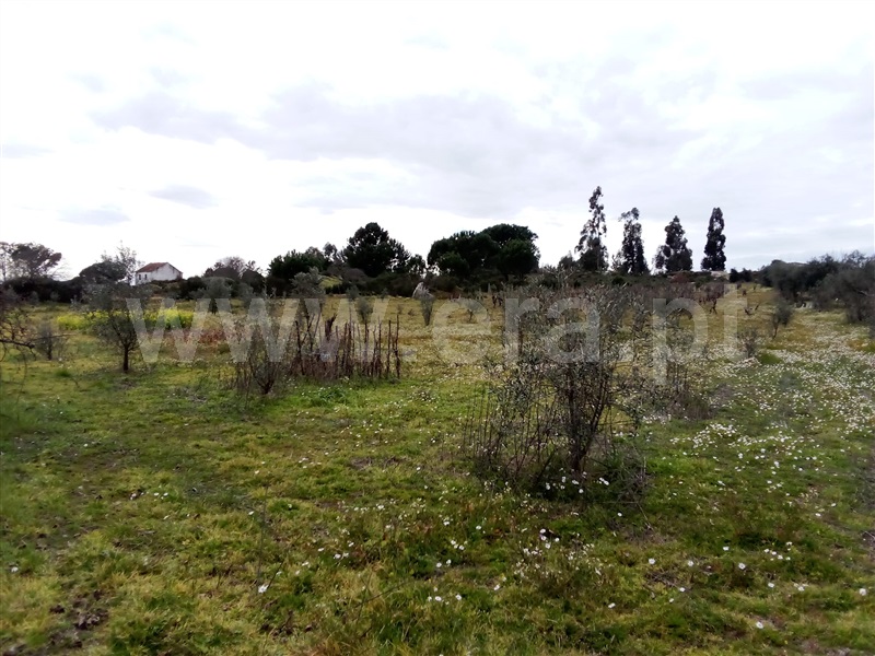 Quinta  Mangualde, Espinho - 1312059 - 6