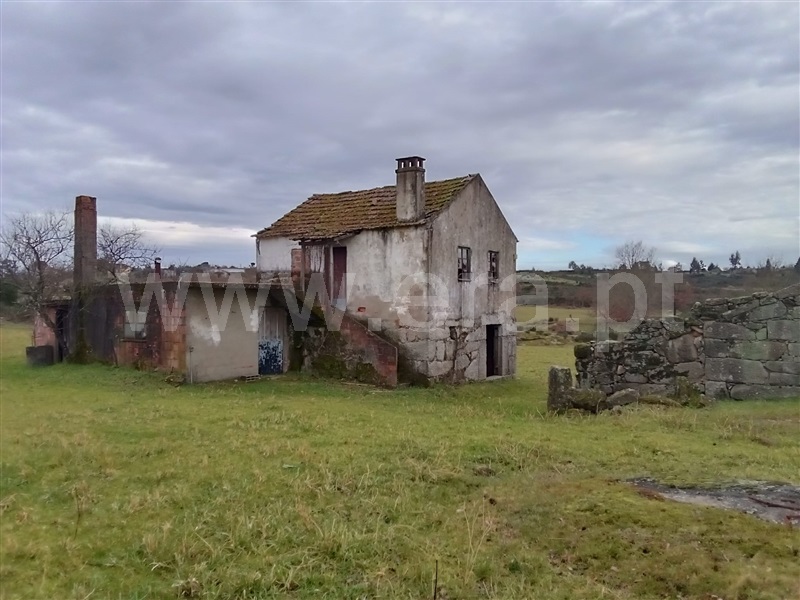 Quinta / Mangualde, Espinho