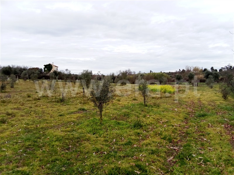 Quinta  Mangualde, Espinho - 1312059 - 10