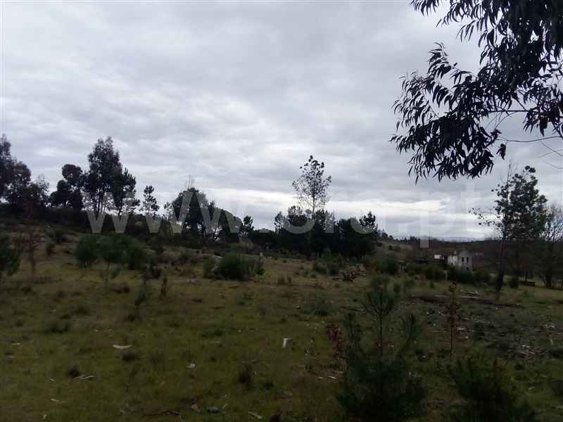 Quinta  Mangualde, Espinho - 1312059 - 11