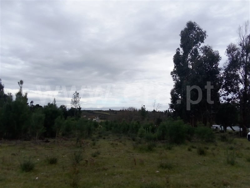 Quinta  Mangualde, Espinho - 1312059 - 16