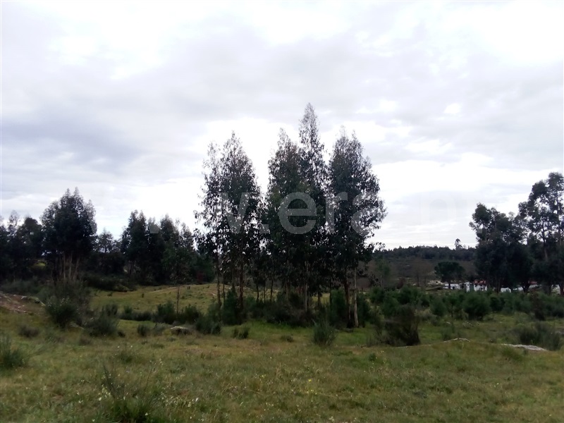Quinta  Mangualde, Espinho - 1312059 - 17