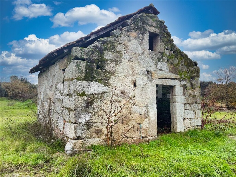 Quinta / Mangualde, Espinho