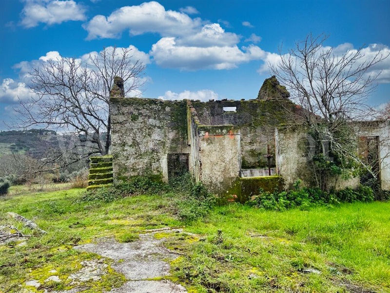 Quinta  Mangualde, Espinho - 1372089 - 2