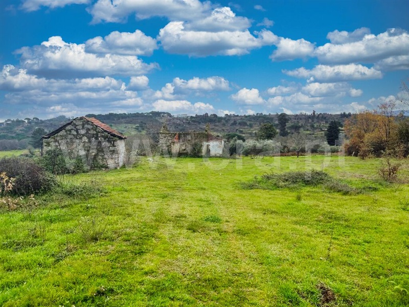 Quinta  Mangualde, Espinho - 1372089 - 3