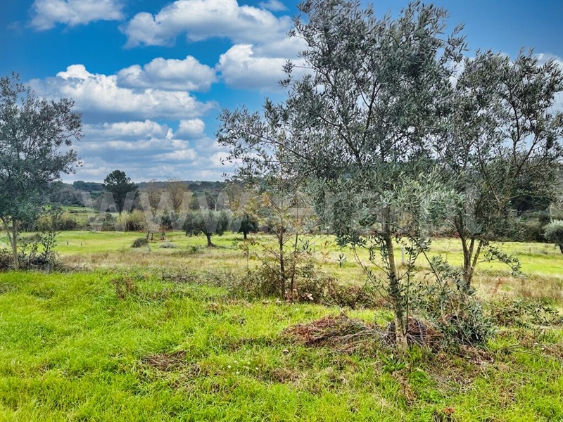 Quinta  Mangualde, Espinho - 1372089 - 5