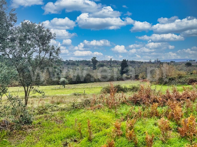 Quinta  Mangualde, Espinho - 1372089 - 6