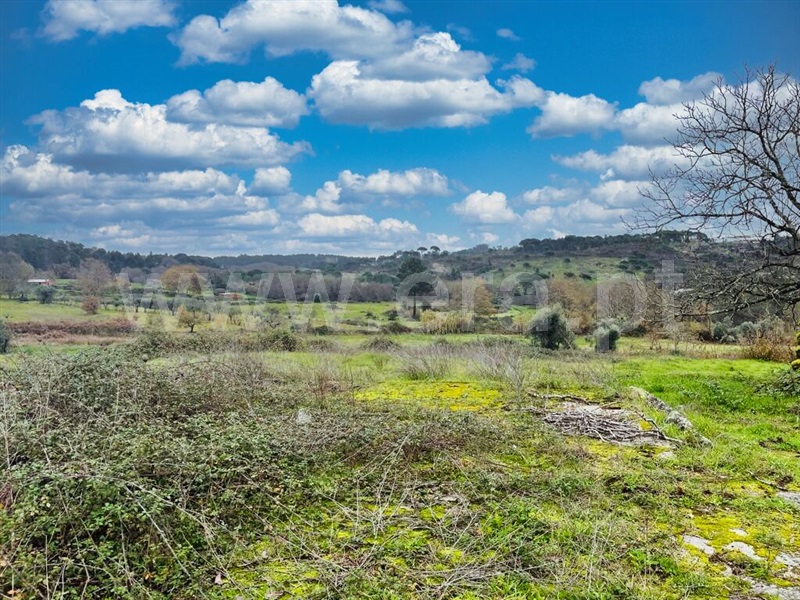 Quinta  Mangualde, Espinho - 1372089 - 7