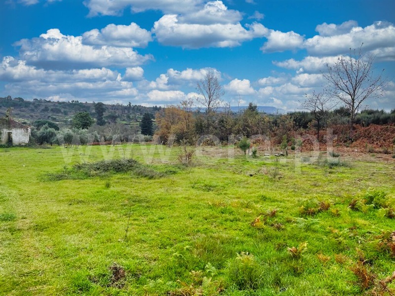 Quinta  Mangualde, Espinho - 1372089 - 8
