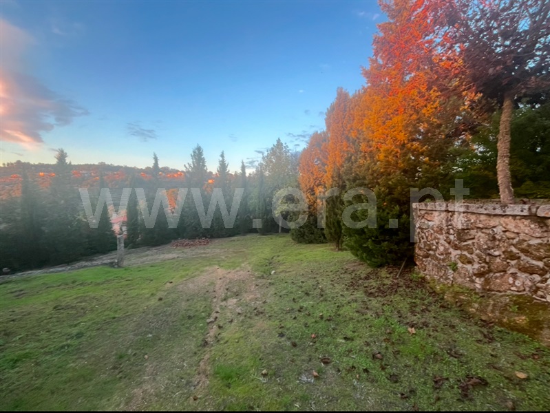 Quinta / Mangualde, Fornos de Maceira Dão