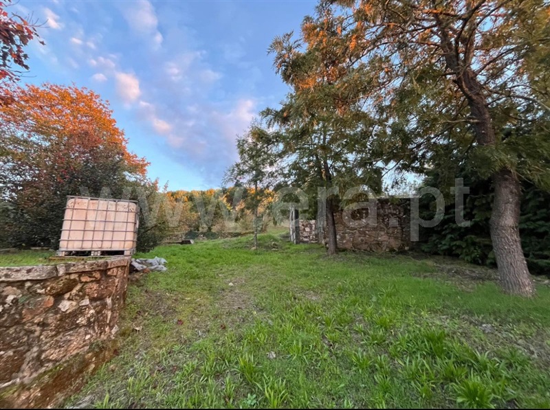 Quinta  Mangualde, Fornos de Maceira Dão - 1462152 - 3
