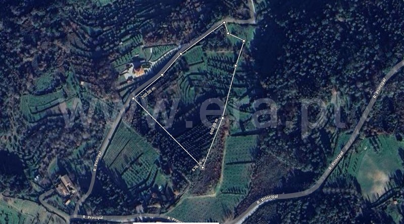 Quinta  Mangualde, Fornos de Maceira Dão - 1462152 - 5