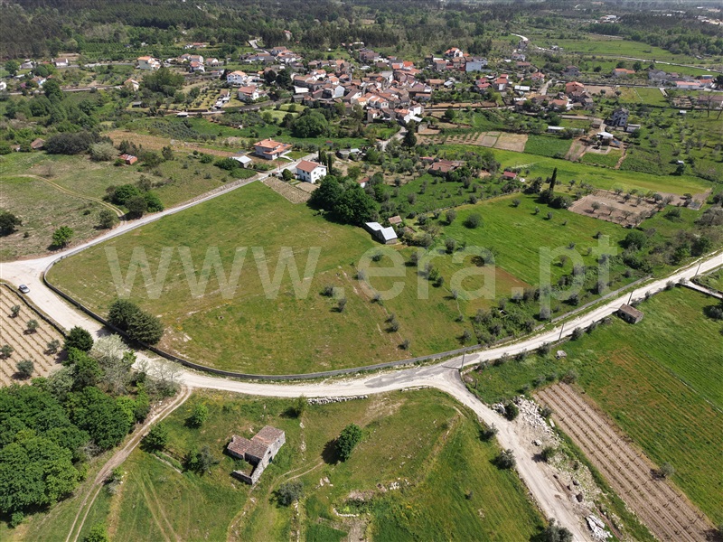Quinta / Mangualde, Mangualde, Mesquitela e Cunha Alta