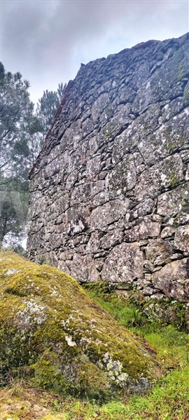 Quintinha  Mangualde, Santiago de Cassurrães e Póvoa de Cervães - 1483459 - 12