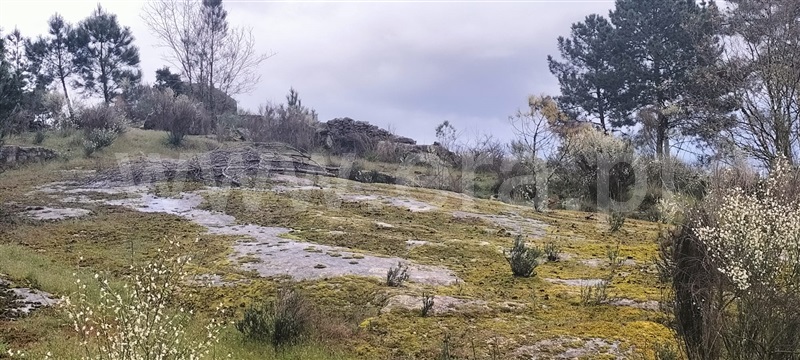 Quintinha  Mangualde, Santiago de Cassurrães e Póvoa de Cervães - 1483459 - 15