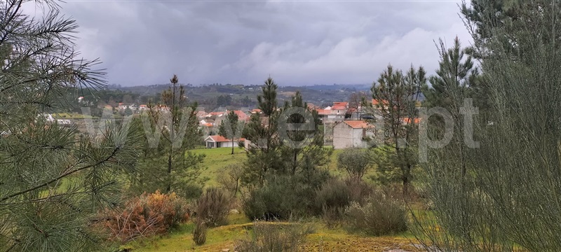 Quintinha  Mangualde, Santiago de Cassurrães e Póvoa de Cervães - 1483459 - 17