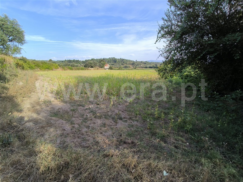 Herdade  Mangualde, Tavares (Chãs, Várzea e Travanca) - 1429101 - 9