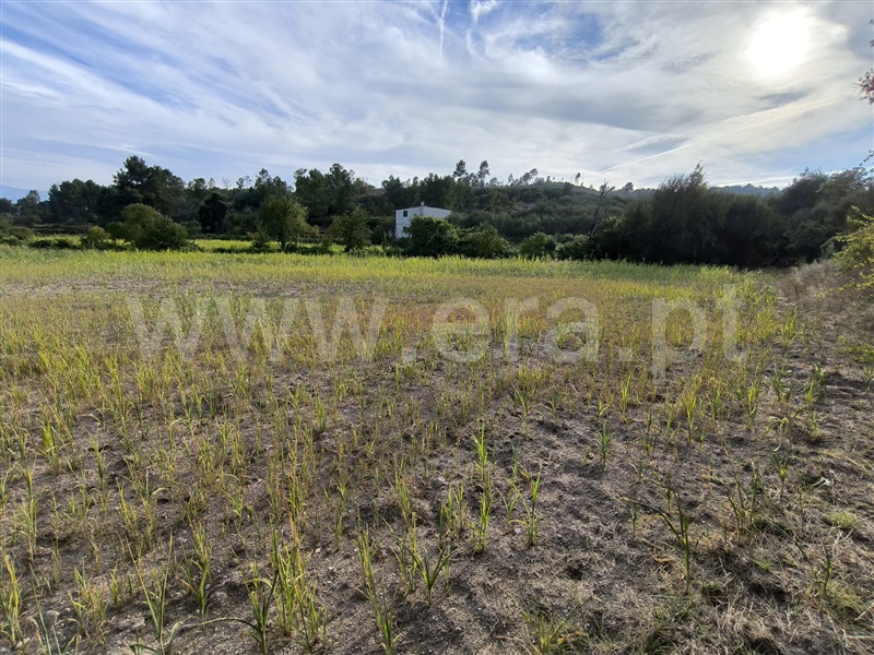 Herdade  Mangualde, Tavares (Chãs, Várzea e Travanca) - 1429101 - 10