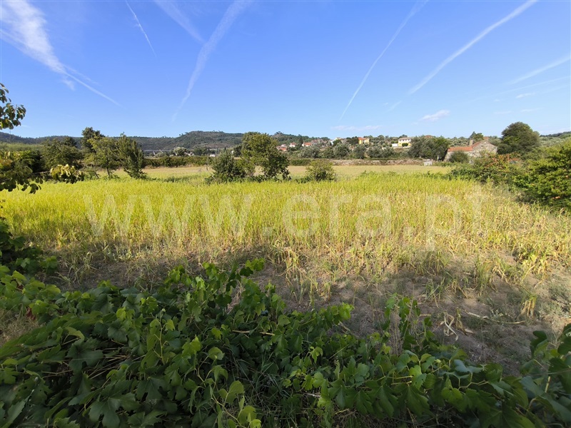 Herdade  Mangualde, Tavares (Chãs, Várzea e Travanca) - 1429101 - 21