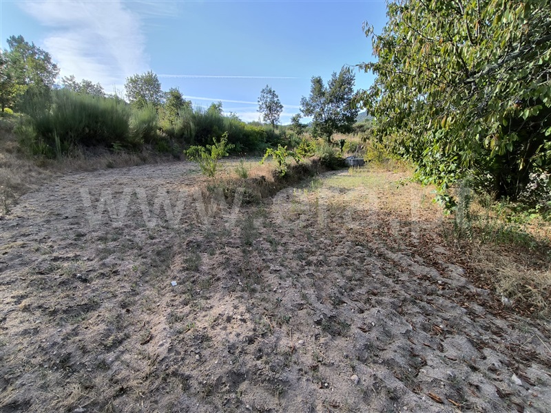 Herdade  Mangualde, Tavares (Chãs, Várzea e Travanca) - 1429101 - 22