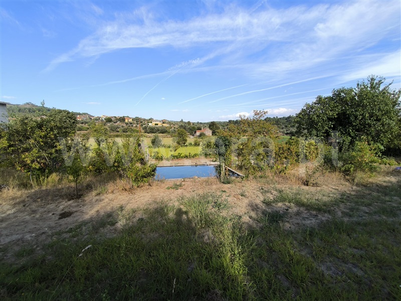 Herdade  Mangualde, Tavares (Chãs, Várzea e Travanca) - 1429101 - 41