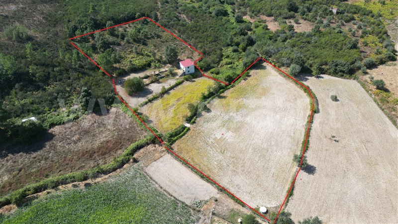 Quinta / Mangualde, Tavares (Chãs, Várzea e Travanca)