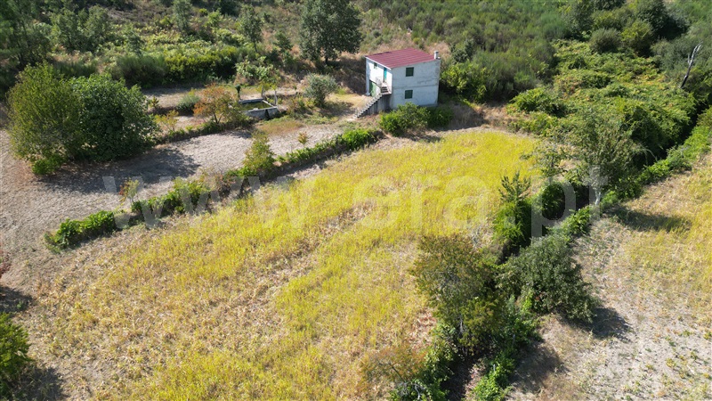 Herdade  com Grande Mangualde, Tavares (Chãs, Várzea e Travanca) - 1429101 - 31