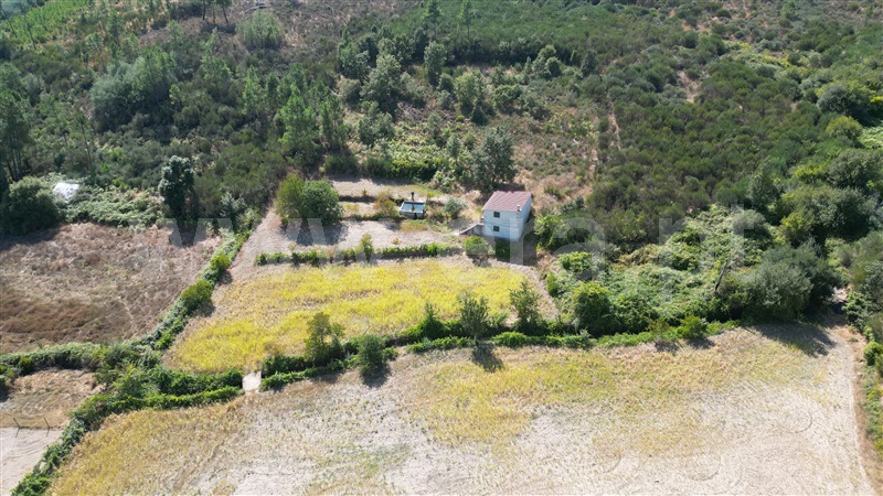 Herdade  com Grande Mangualde, Tavares (Chãs, Várzea e Travanca) - 1429101 - 32