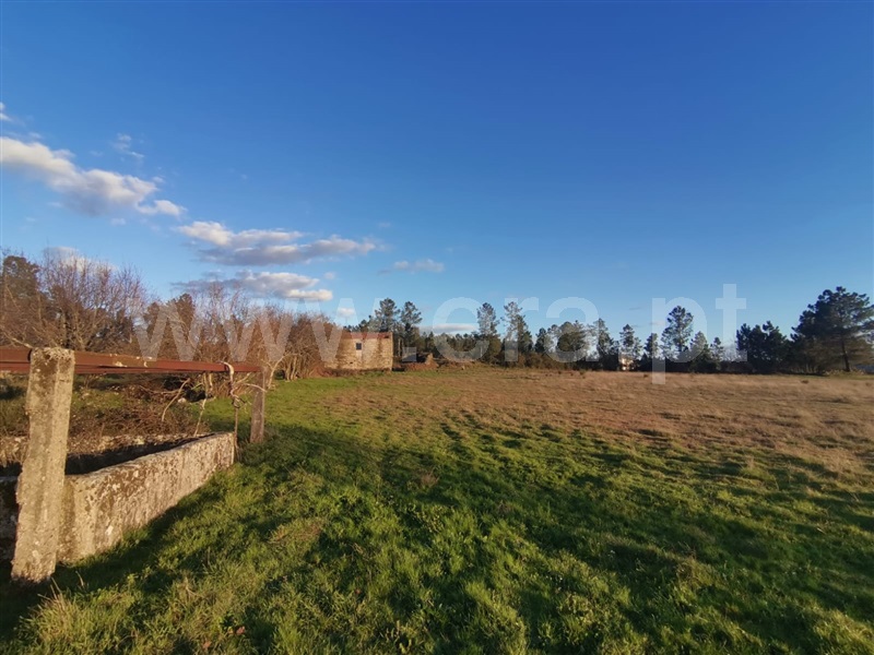 Quinta / Mangualde, Tavares (Chãs, Várzea e Travanca)