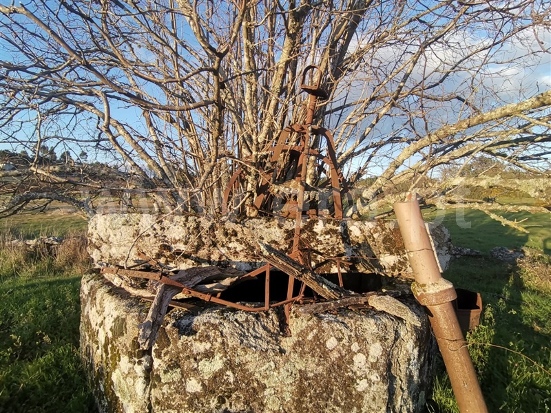 Quinta  Mangualde, Tavares (Chãs, Várzea e Travanca) - 1465388 - 2