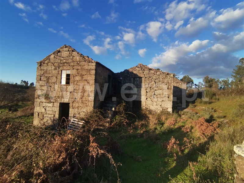 Quinta  Mangualde, Tavares (Chãs, Várzea e Travanca) - 1465388 - 5