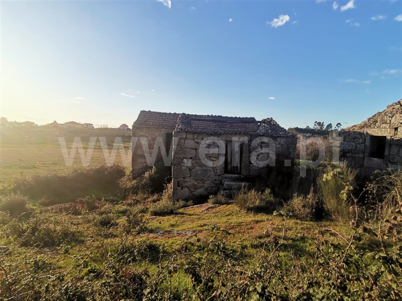 Quinta  Mangualde, Tavares (Chãs, Várzea e Travanca) - 1465388 - 6