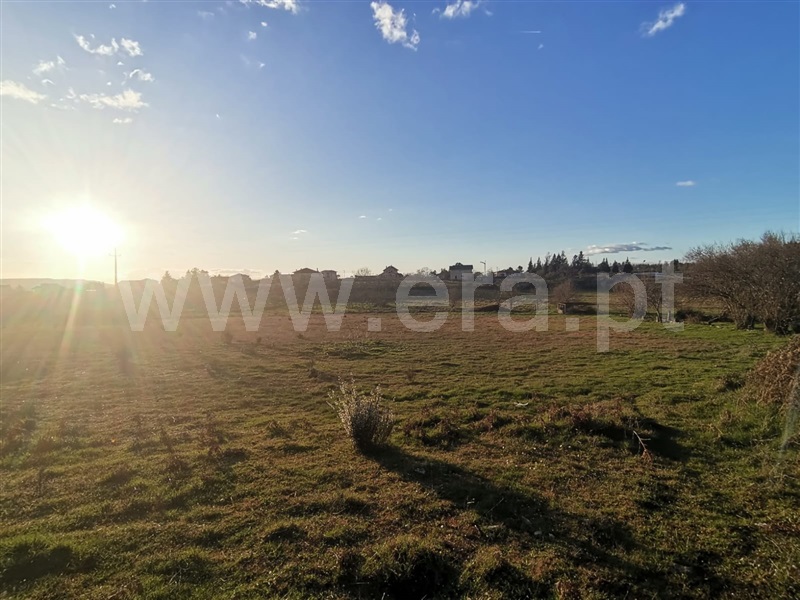Quinta  Mangualde, Tavares (Chãs, Várzea e Travanca) - 1465388 - 8