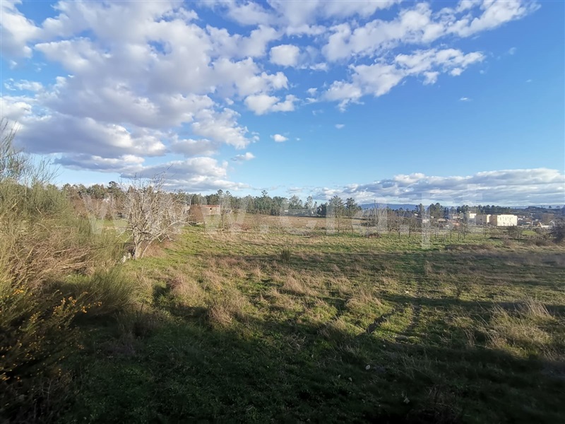 Quinta  Mangualde, Tavares (Chãs, Várzea e Travanca) - 1465388 - 10