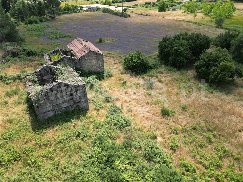Quinta  com Agrícola Mangualde, Tavares (Chãs, Várzea e Travanca) - 1465388 - 11