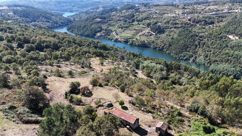 Quinta / Marco de Canaveses, Avessadas e Rosém