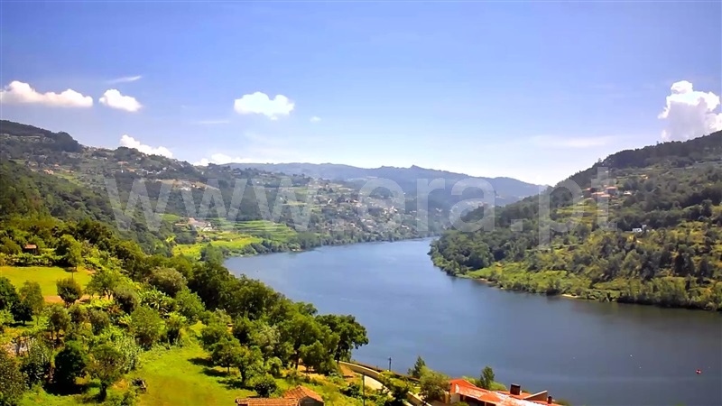 Quinta  Marco de Canaveses, Bem Viver - 1333799 - 1