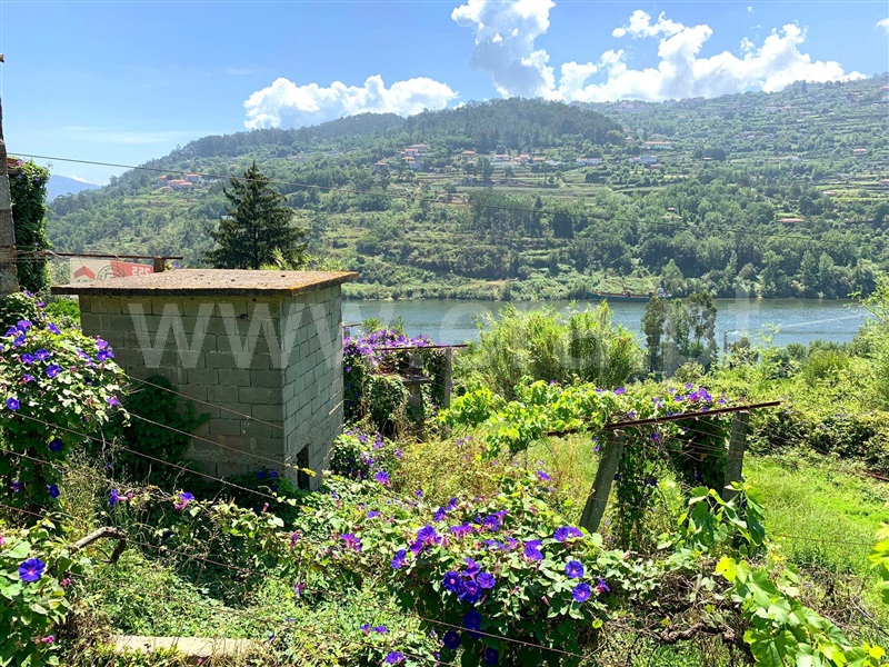 Quinta  Marco de Canaveses, Bem Viver - 1333799 - 3