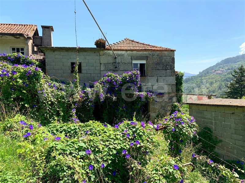 Quinta  Marco de Canaveses, Bem Viver - 1333799 - 6