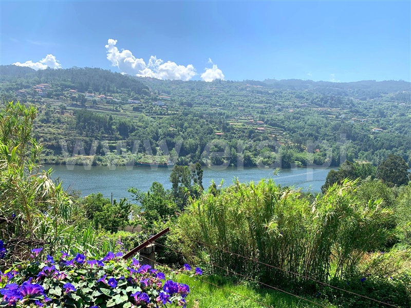 Quinta  Marco de Canaveses, Bem Viver - 1333799 - 8