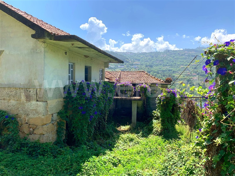 Quinta  Marco de Canaveses, Bem Viver - 1333799 - 9