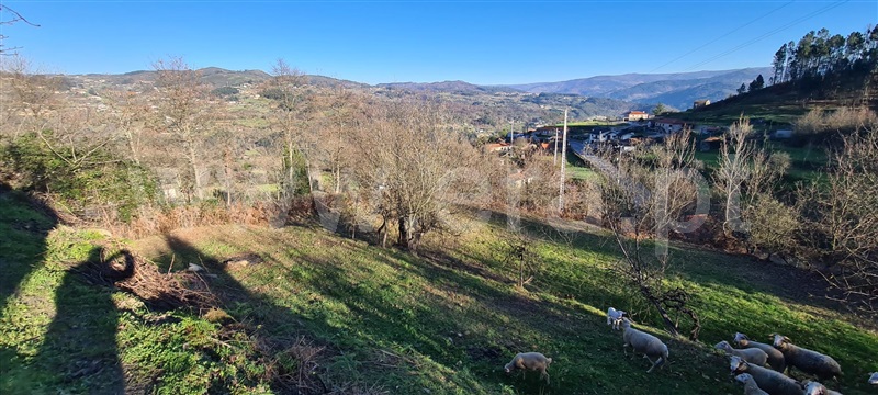 Quinta  Marco de Canaveses, Penhalonga e Paços de Gaiolo - 1300628 - 1
