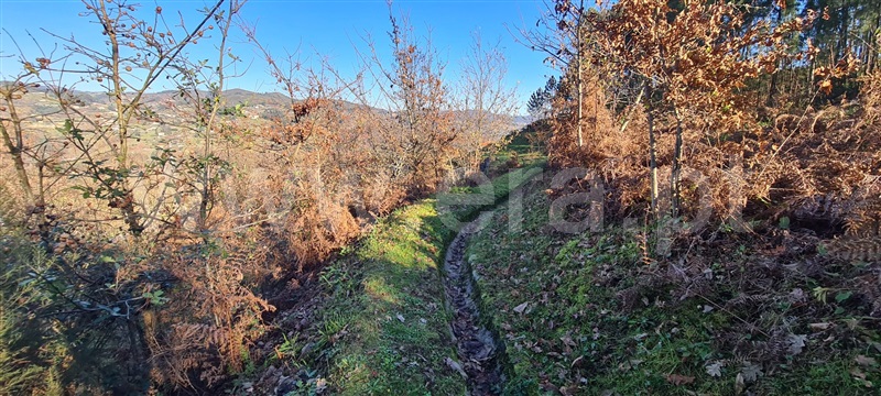 Quinta  Marco de Canaveses, Penhalonga e Paços de Gaiolo - 1300628 - 6
