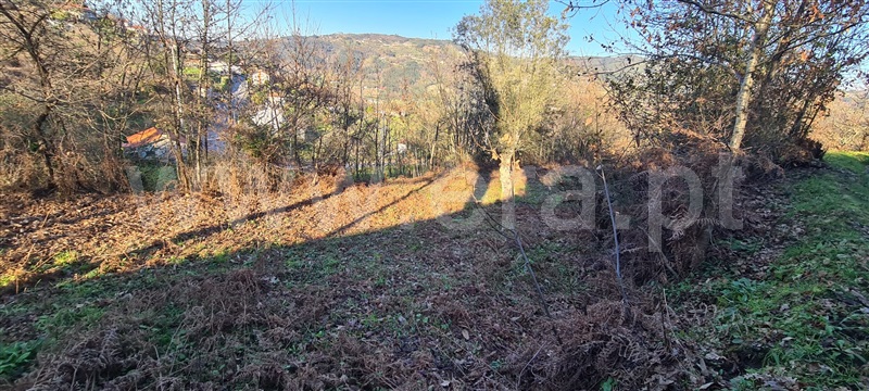 Quinta  Marco de Canaveses, Penhalonga e Paços de Gaiolo - 1300628 - 7