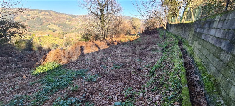 Quinta  Marco de Canaveses, Penhalonga e Paços de Gaiolo - 1300628 - 9