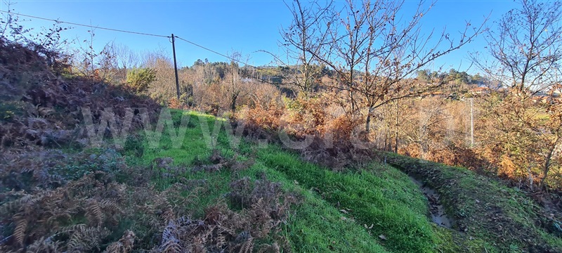 Quinta  Marco de Canaveses, Penhalonga e Paços de Gaiolo - 1300628 - 13