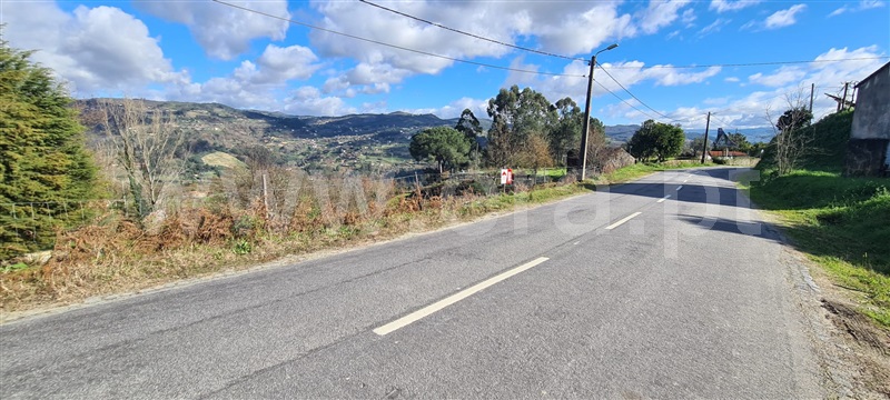 Quinta  Marco de Canaveses, Penhalonga e Paços de Gaiolo - 1300628 - 14