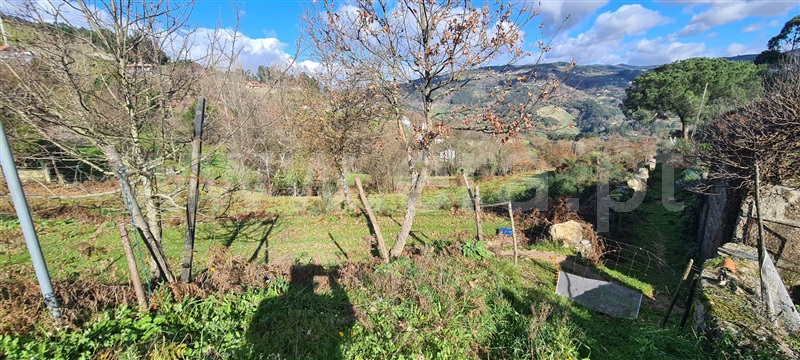 Quinta  Marco de Canaveses, Penhalonga e Paços de Gaiolo - 1300628 - 15